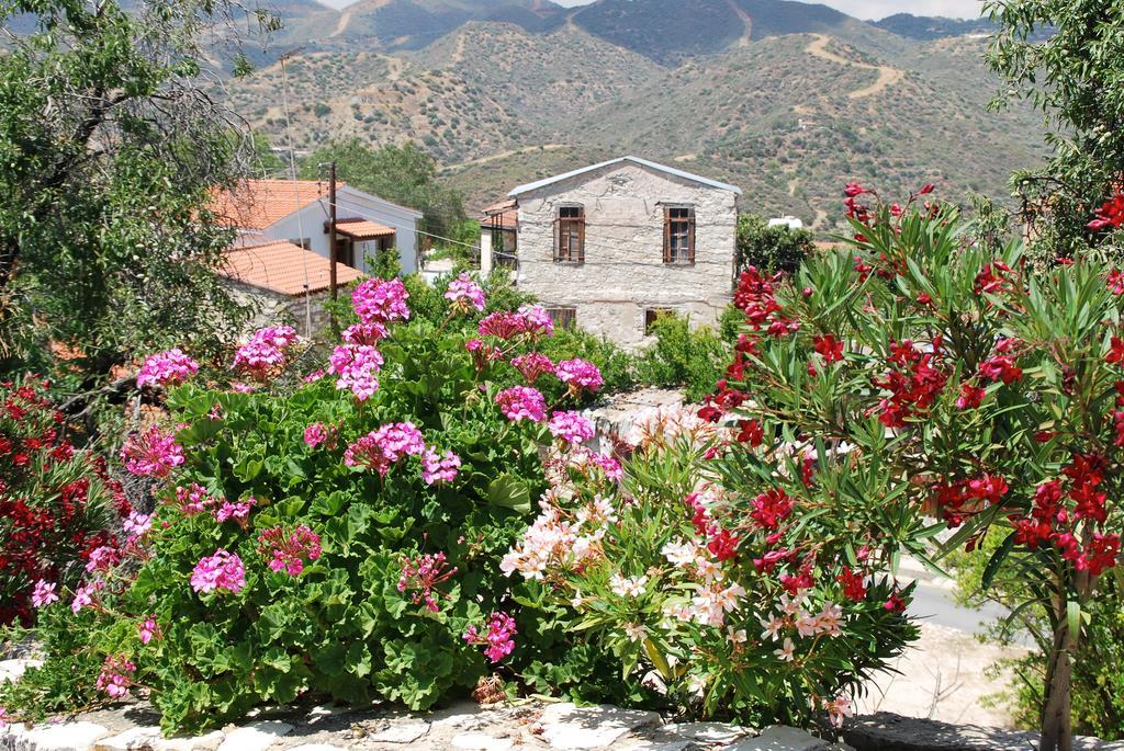 Vavla Rustic Retreat Guest House Екстериор снимка