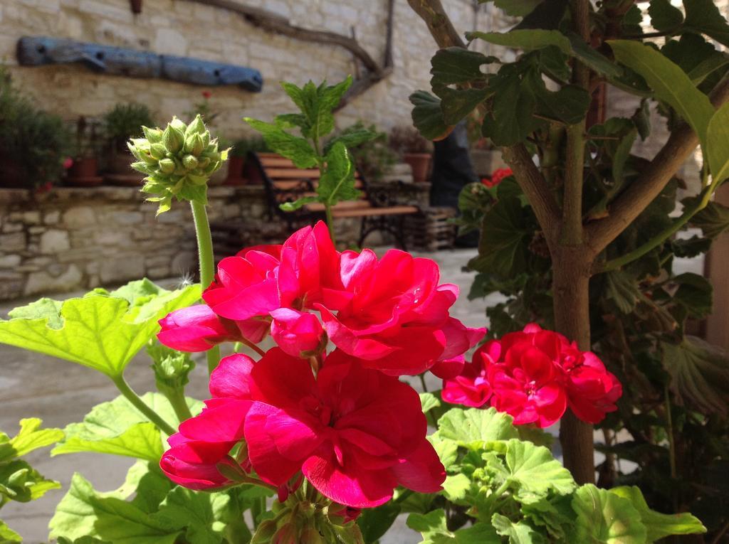 Vavla Rustic Retreat Guest House Екстериор снимка